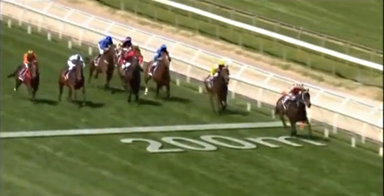 Black Caviar Retired Horse Lover's Math