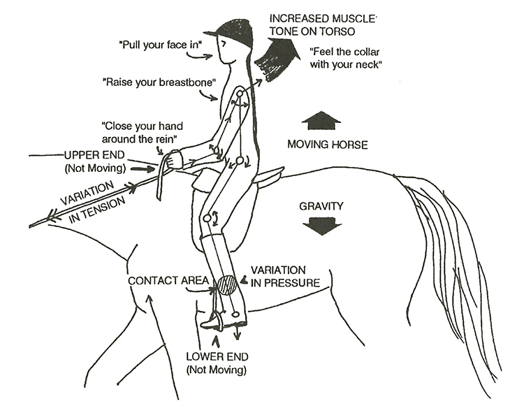 von BlixenFinecke, Hans The Horse Magazine