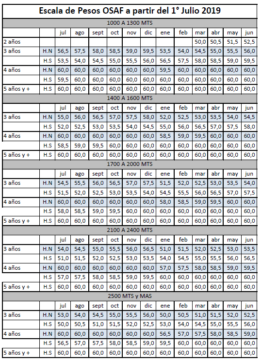 International Federation of Horseracing Authorities