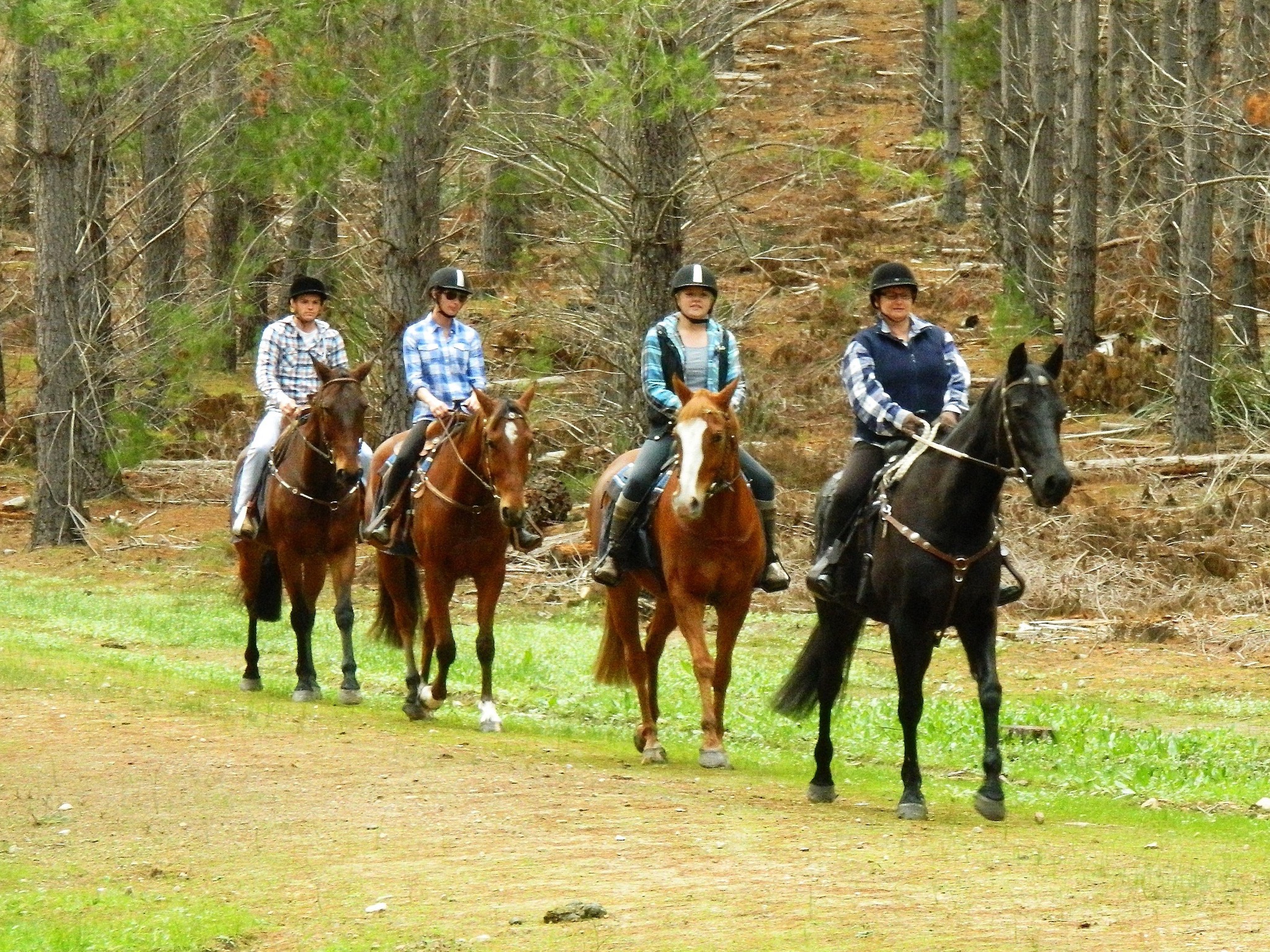 Adelaide Horse Ride Horse Riding Now