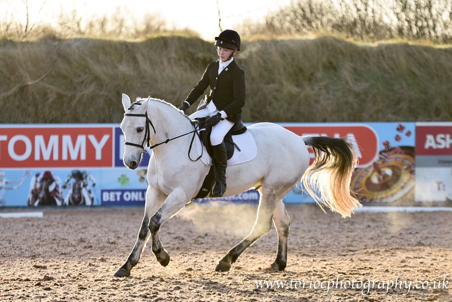 Competitive junior event horse HorseSales.ie