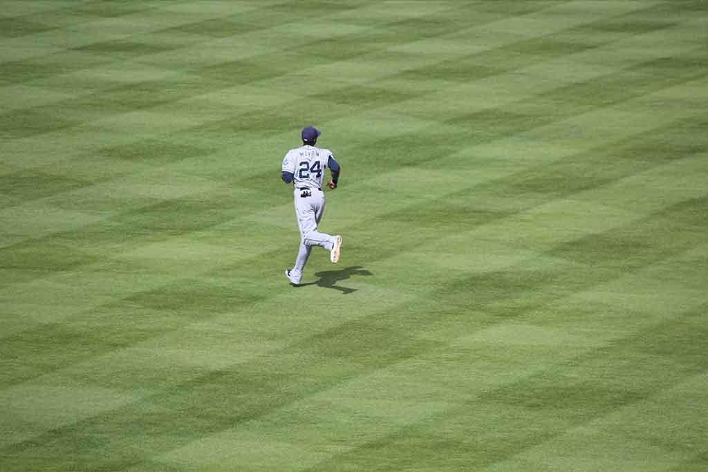 Turf Management Schools Online Lawn Care Training