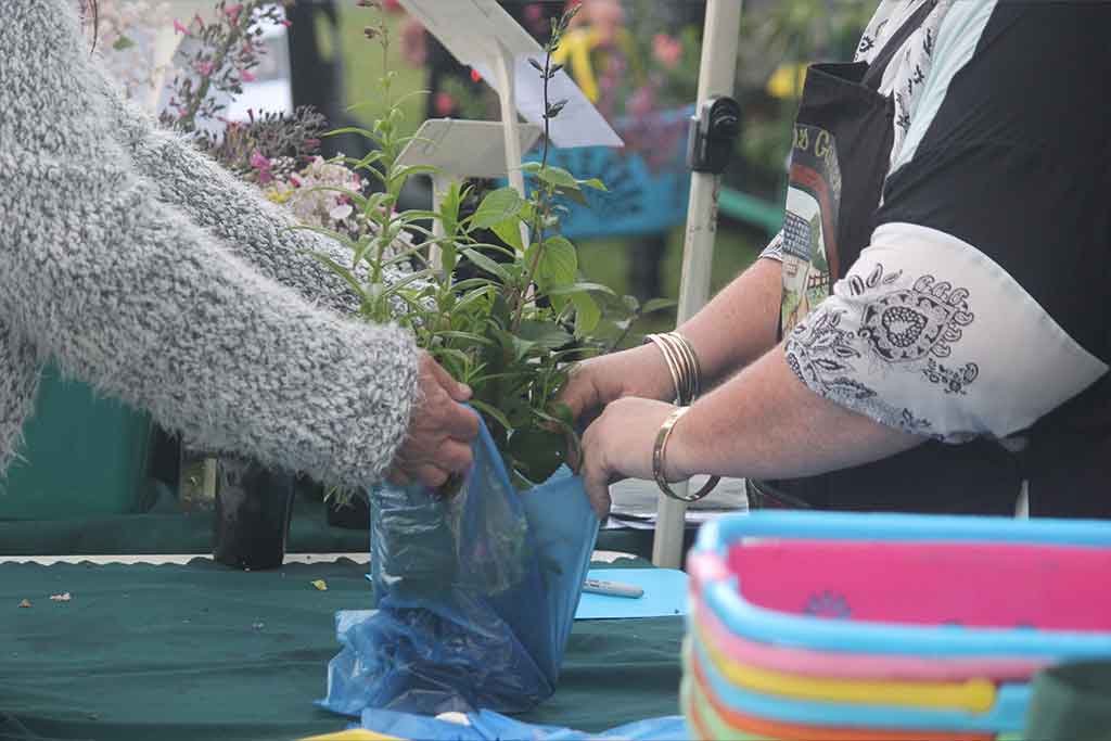 Plant Propagation Courses Nursery Production Garden Centre