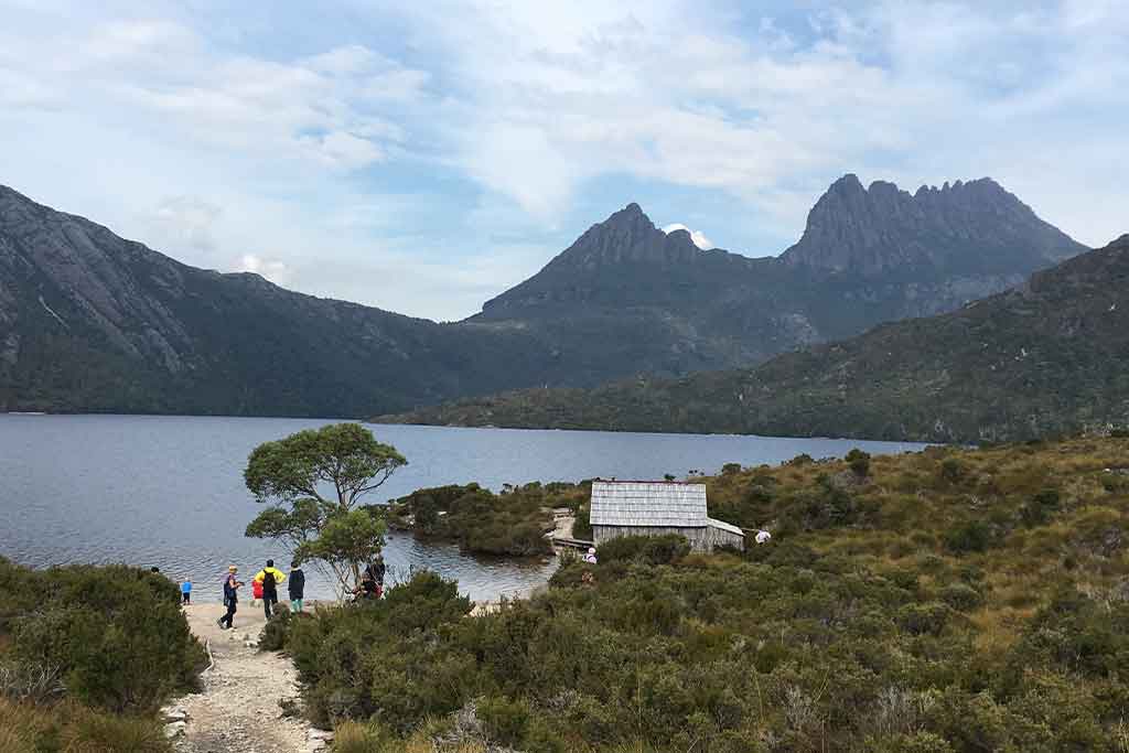 Plant Nursery online course