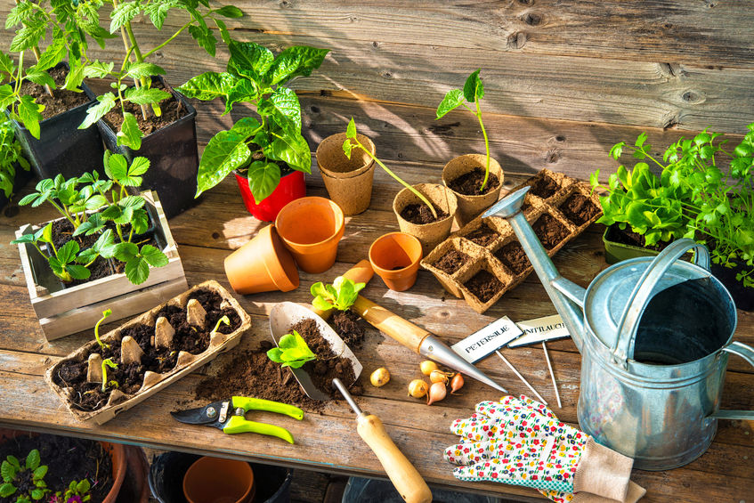 Matériel de jardinage De quels outils avezvous besoin pour semer