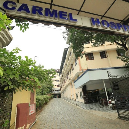 Carmel Hospital Hostech