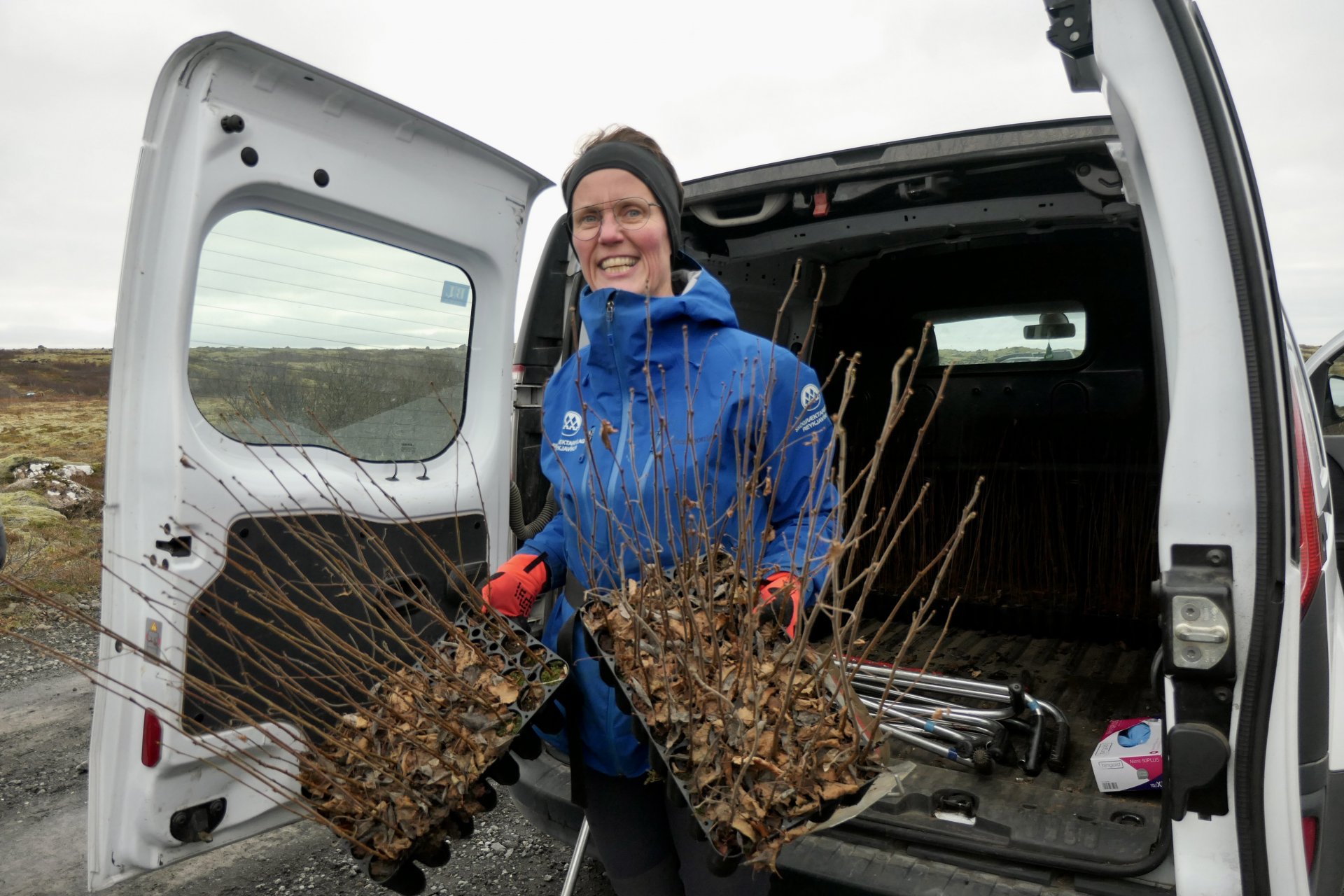 Offsetting our Guests Stays with Tree Planting HI Iceland