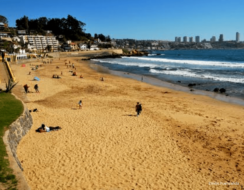 Valparaiso's best beaches