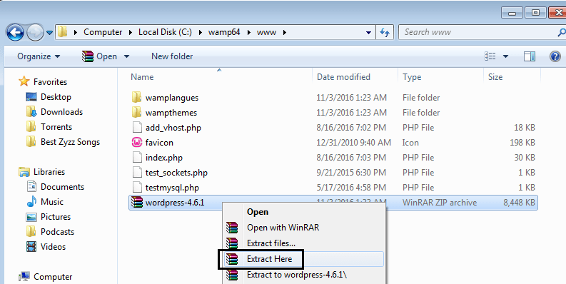 How To Install Cpanel On Wamp Server goodsitedel