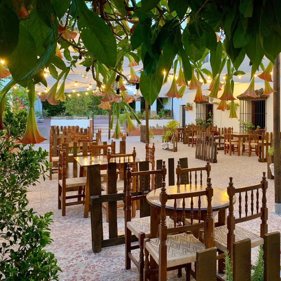 ¿Qué hacer en El Bosque? Hotel Enrique Calvillo