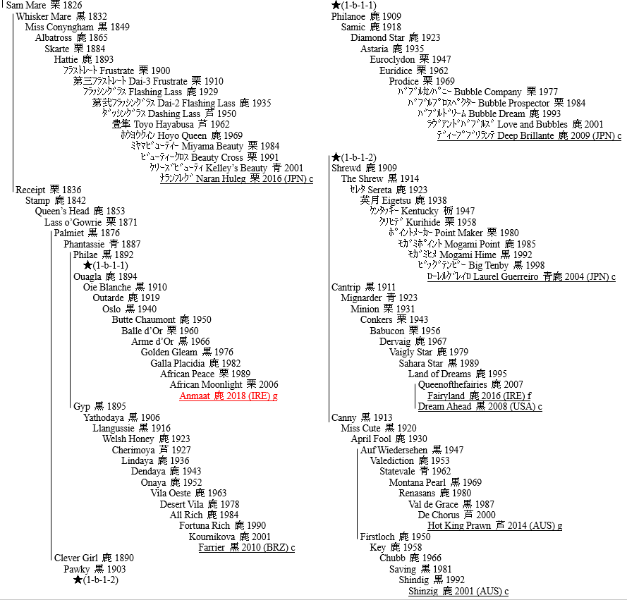 LINEAGE OF THOROUGHBRED