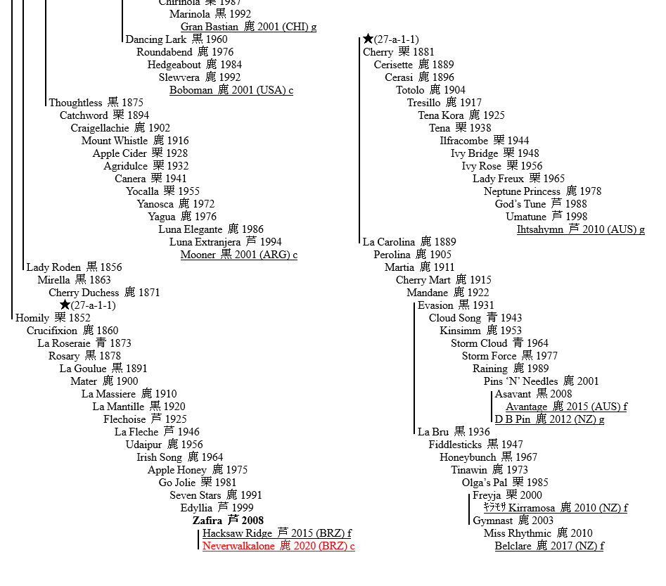 LINEAGE OF THOROUGHBRED