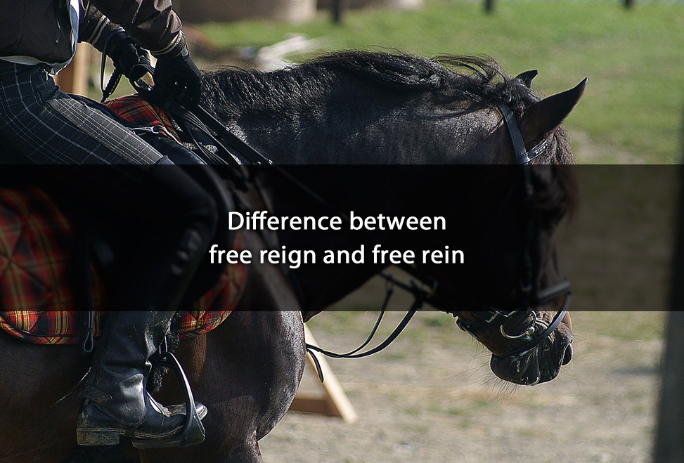 Difference between free reign and free rein