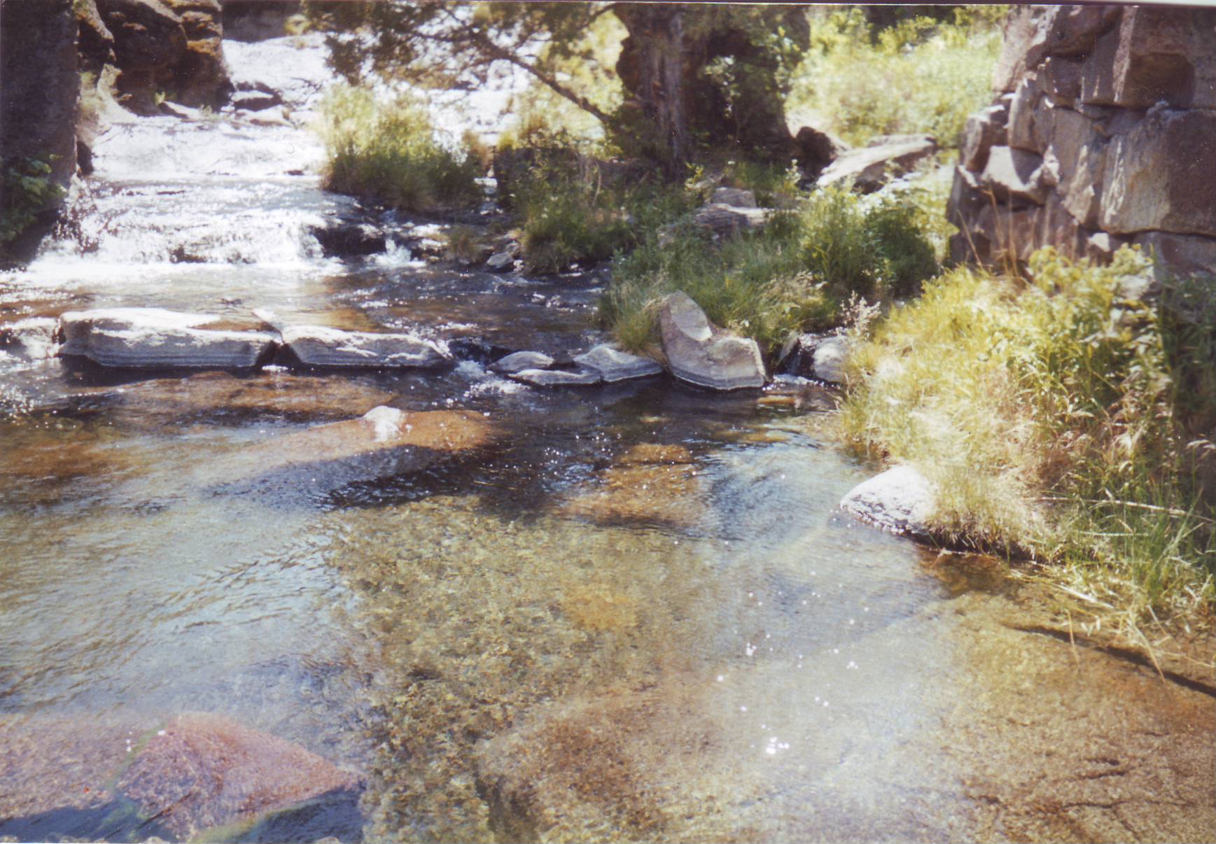 Three Forks Warm Spring HotWaterSlaughter Hot Springs