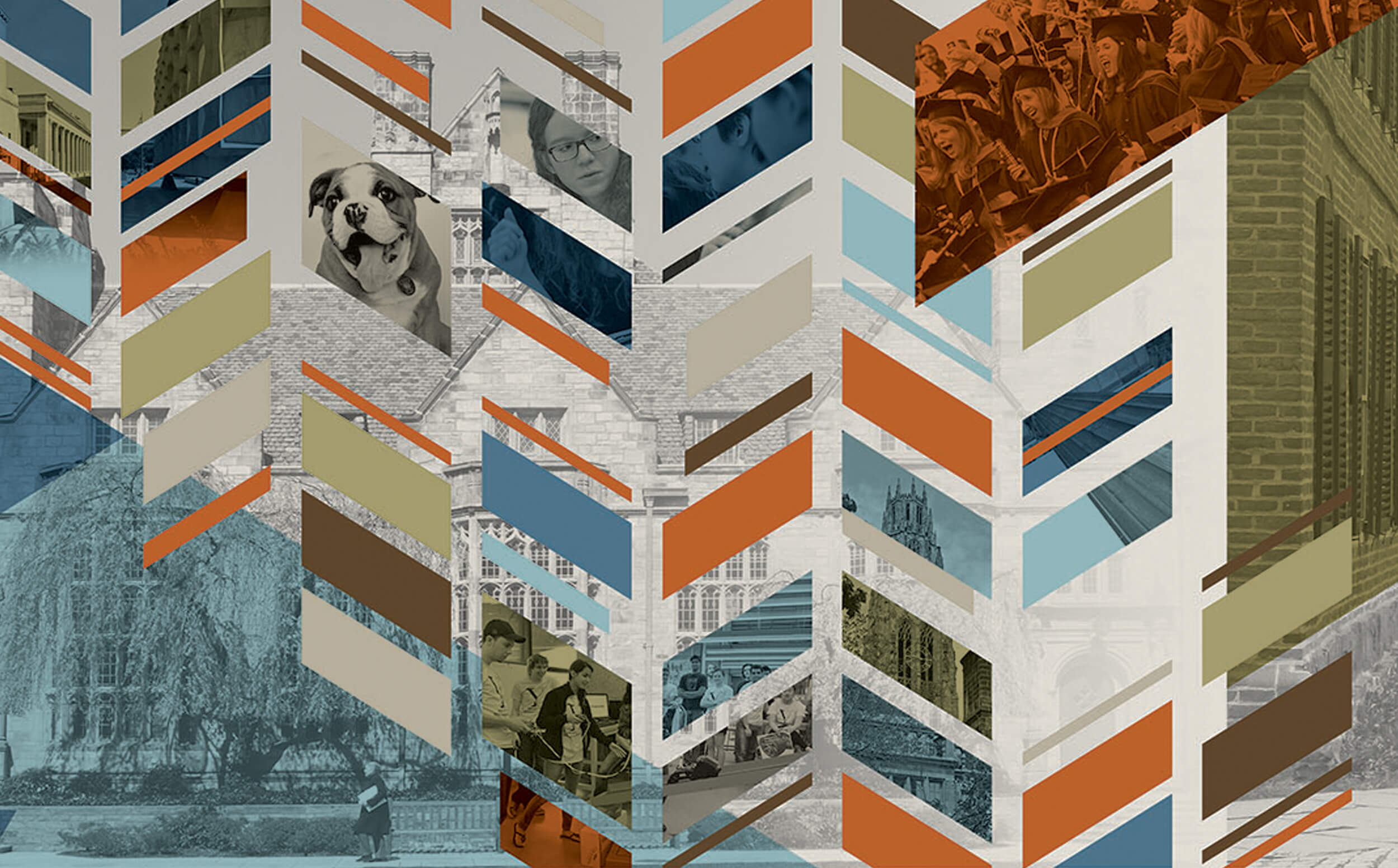 Yale Office of Development Environmental Graphic Wallpaper HotWhite