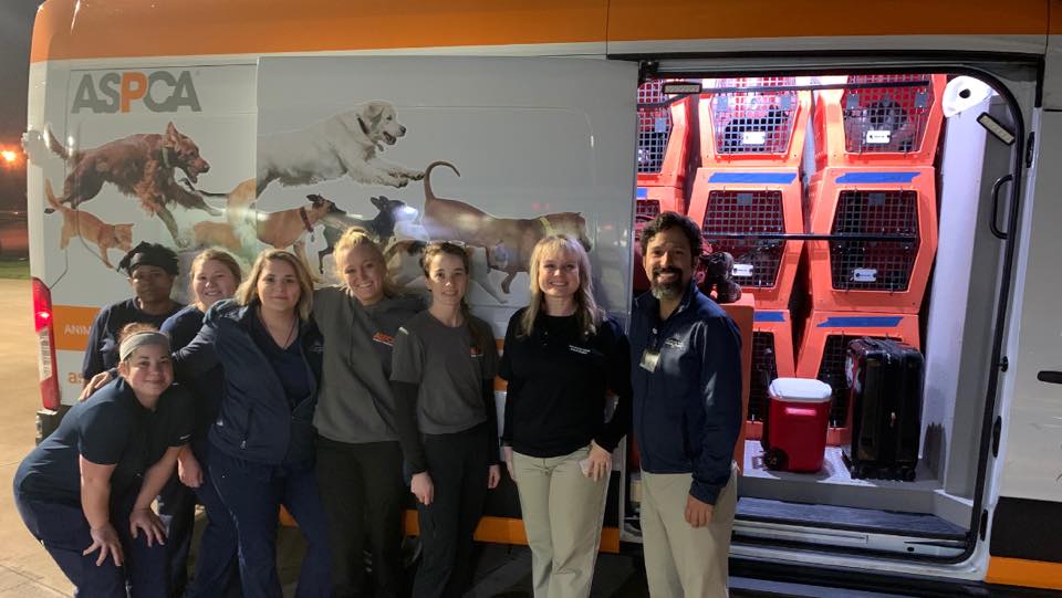 Terrebonne Parish Animal Shelter partners with National Relocation