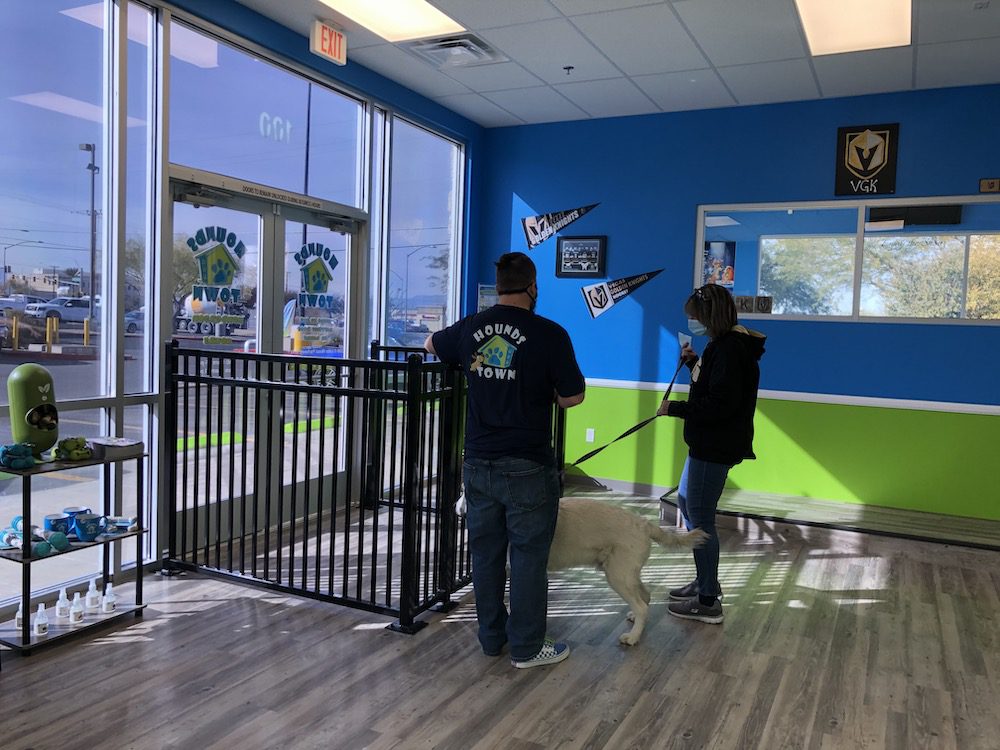 Jamie Enders' VegasArea Doggie Daycare Business is NOW OPEN!