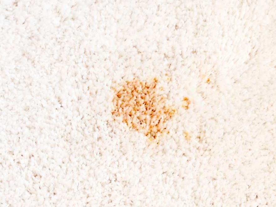 How To Remove Rust Stains From Beige Carpet