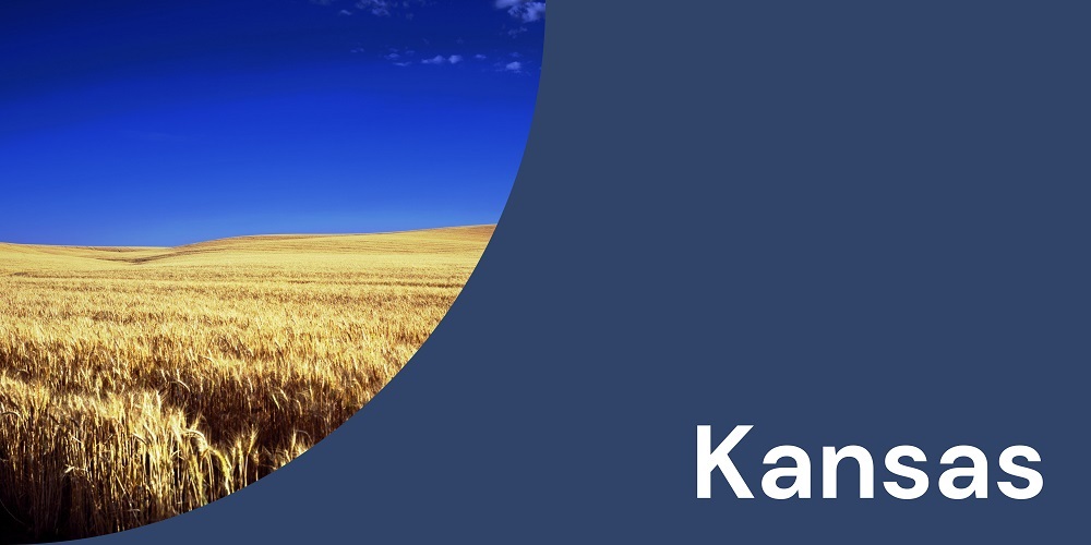 10 Worst US States For Allergies in 2022