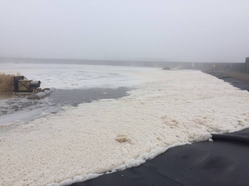 image005.jpg House Industries