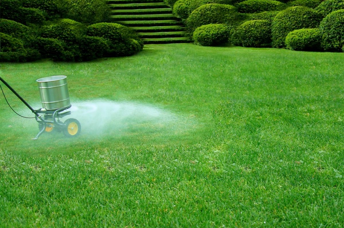 Unnecessary liming of the lawn can damage the soil itself and it will give it a yellowish color. How Do You Know If Your Lawn Needs Lime Houseman Pest