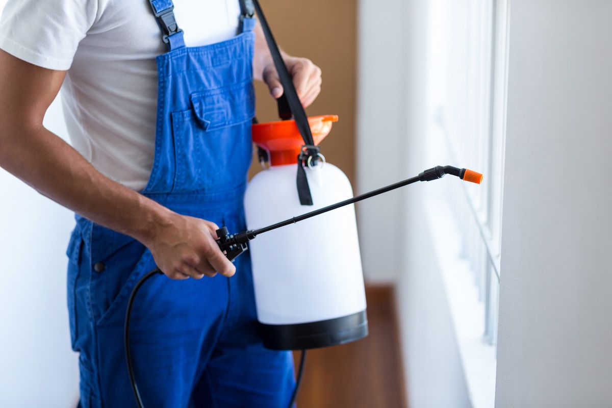 Do-It-Yourself Pest Control: About Us