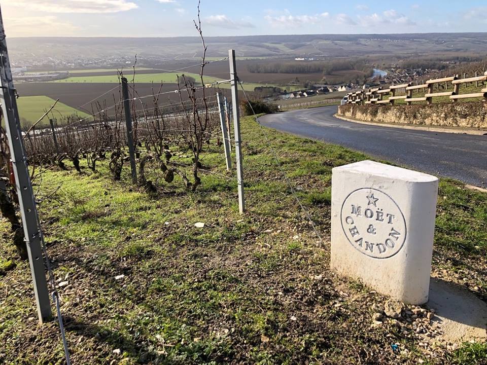 A Burgundy Road Trip