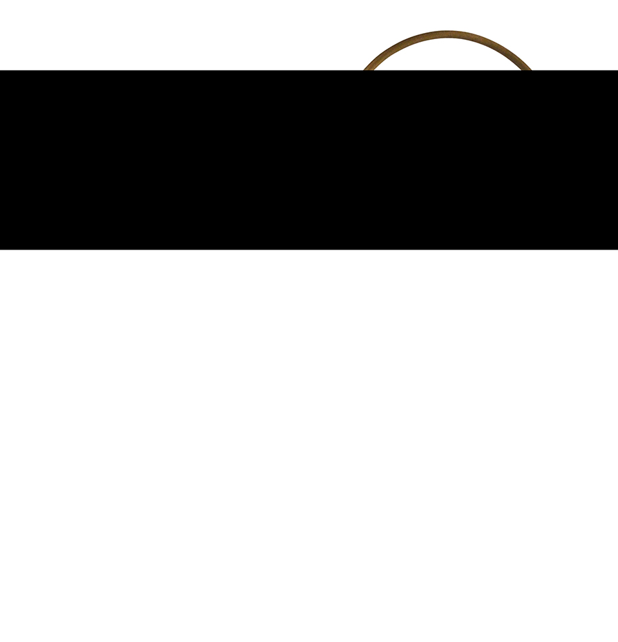 Ultra SlimLine LED Picture Light House of Troy