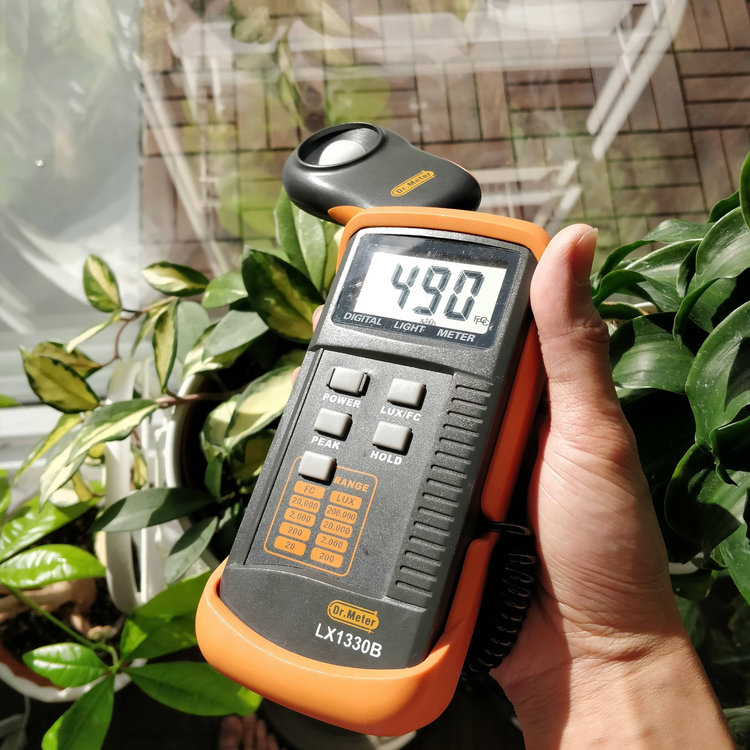 How To Measure Light In A Room For Plants