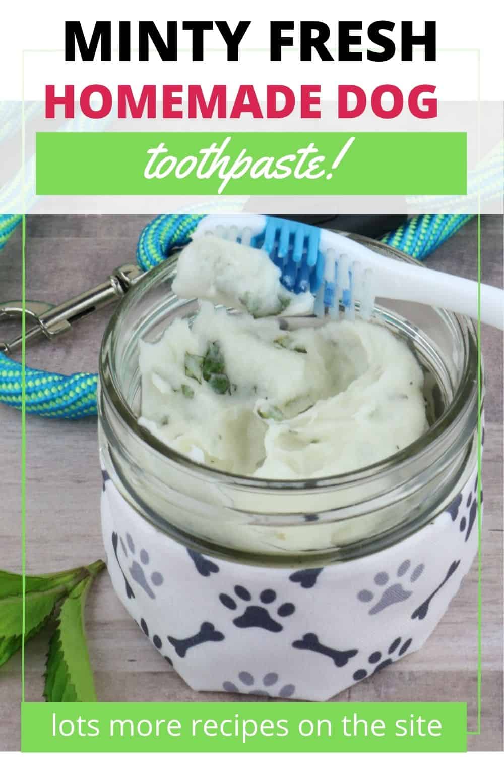 Minty Fresh Dog Friendly Toothpaste House That Barks