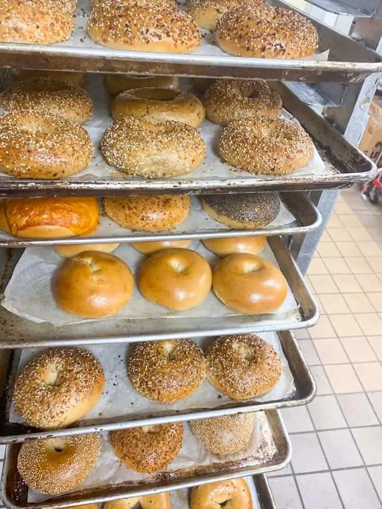 Top 10 Best Bagels in Frederick MD & Beyond Housewives of Frederick