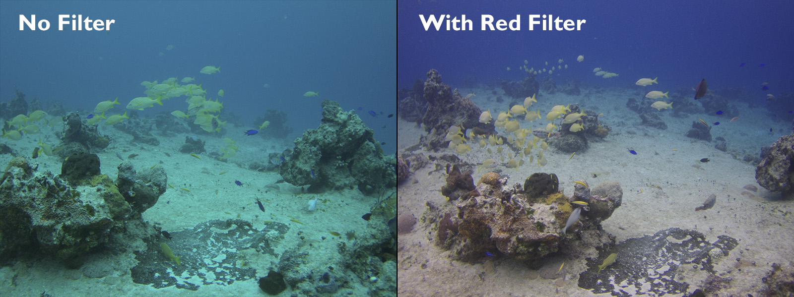 Intova Edge X Underwater Action Cam Review Mozaik UW