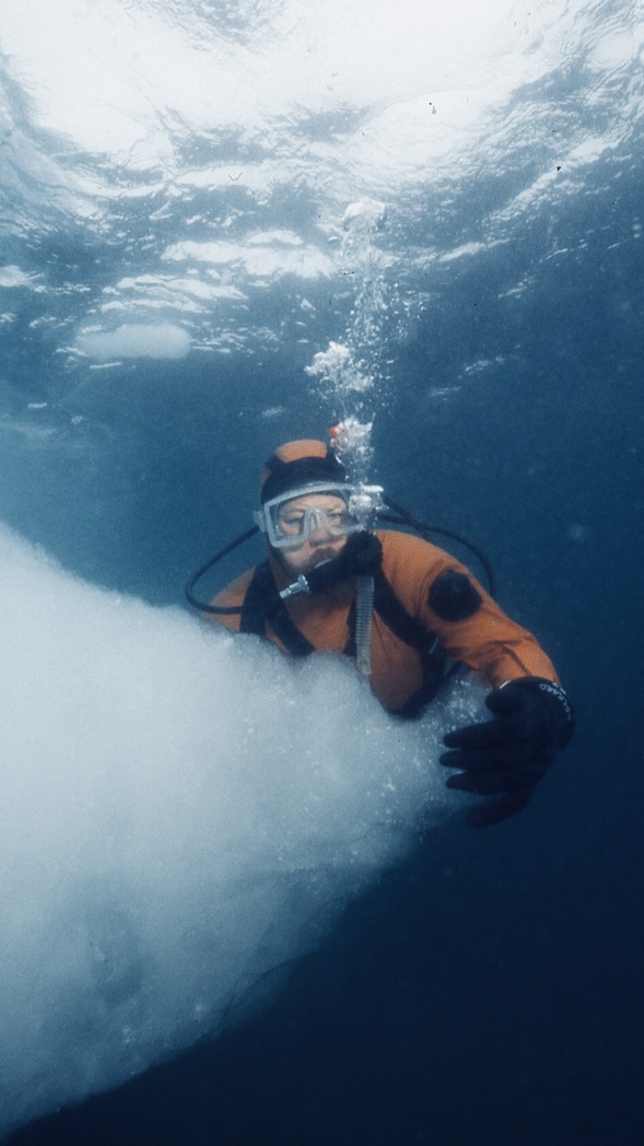 Underwater Photography in Cold Water Mozaik UW