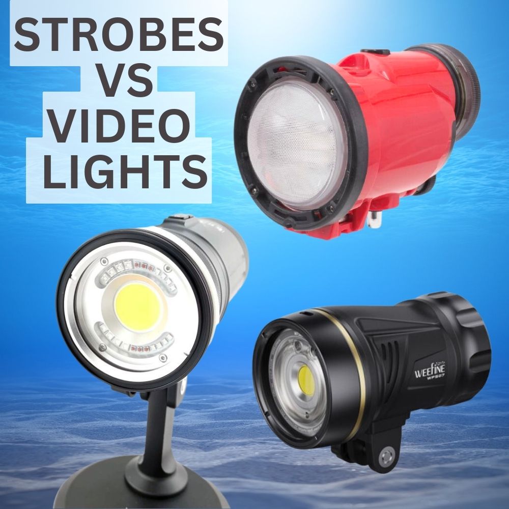 Strobes or video lights? A headtohead comparison for the underwater