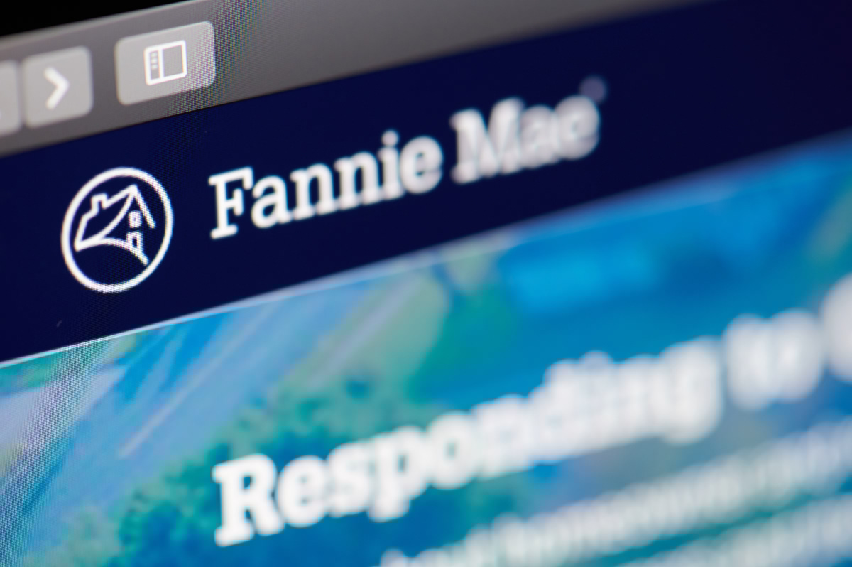 Fannie Mae completes first nonperforming loan sale of the year  Eclair