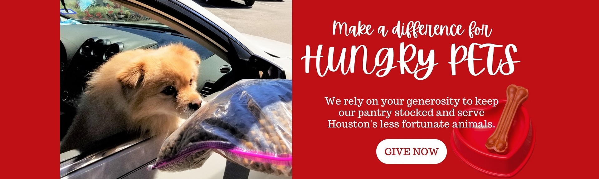 Houston Humane Society Animal & Dog Shelter Sugar Land