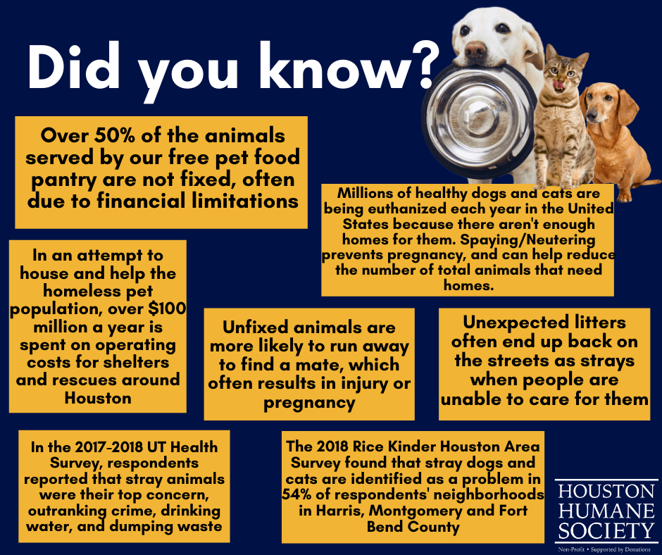 Free Pet Vaccinations Houston 2021 All Things About Pets