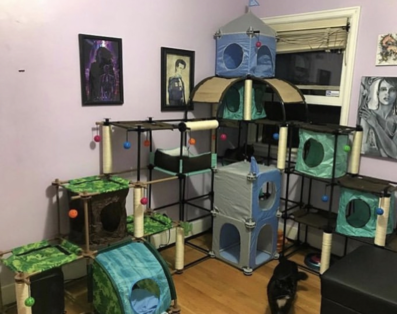 21+ Cat Room Ideas That Will Have You Purring in 2024 | Houszed