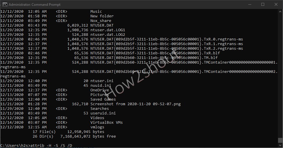 How to show hidden files in Windows 10 using Command prompt