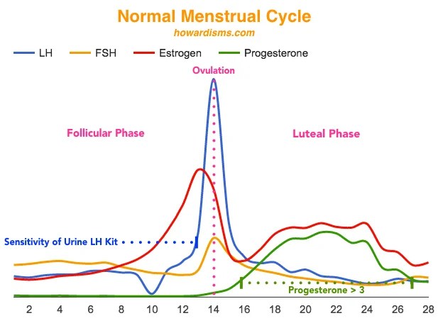 Day 21 Progesterone Level Chart: A Visual Reference of Charts | Chart