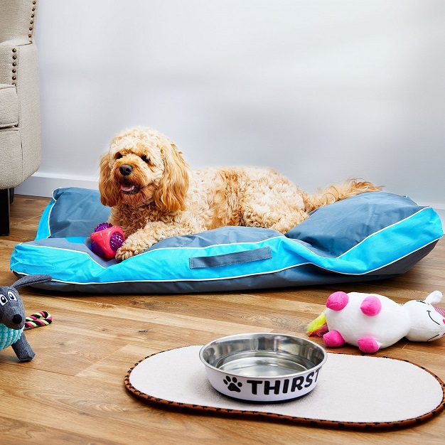 Choosing a Good Dog Bed Is Important Keep Your Pet Happy and Healthy