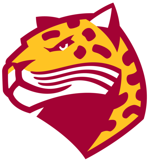 How One Creative Entrepreneur is Connecting the Dots of His Marketing