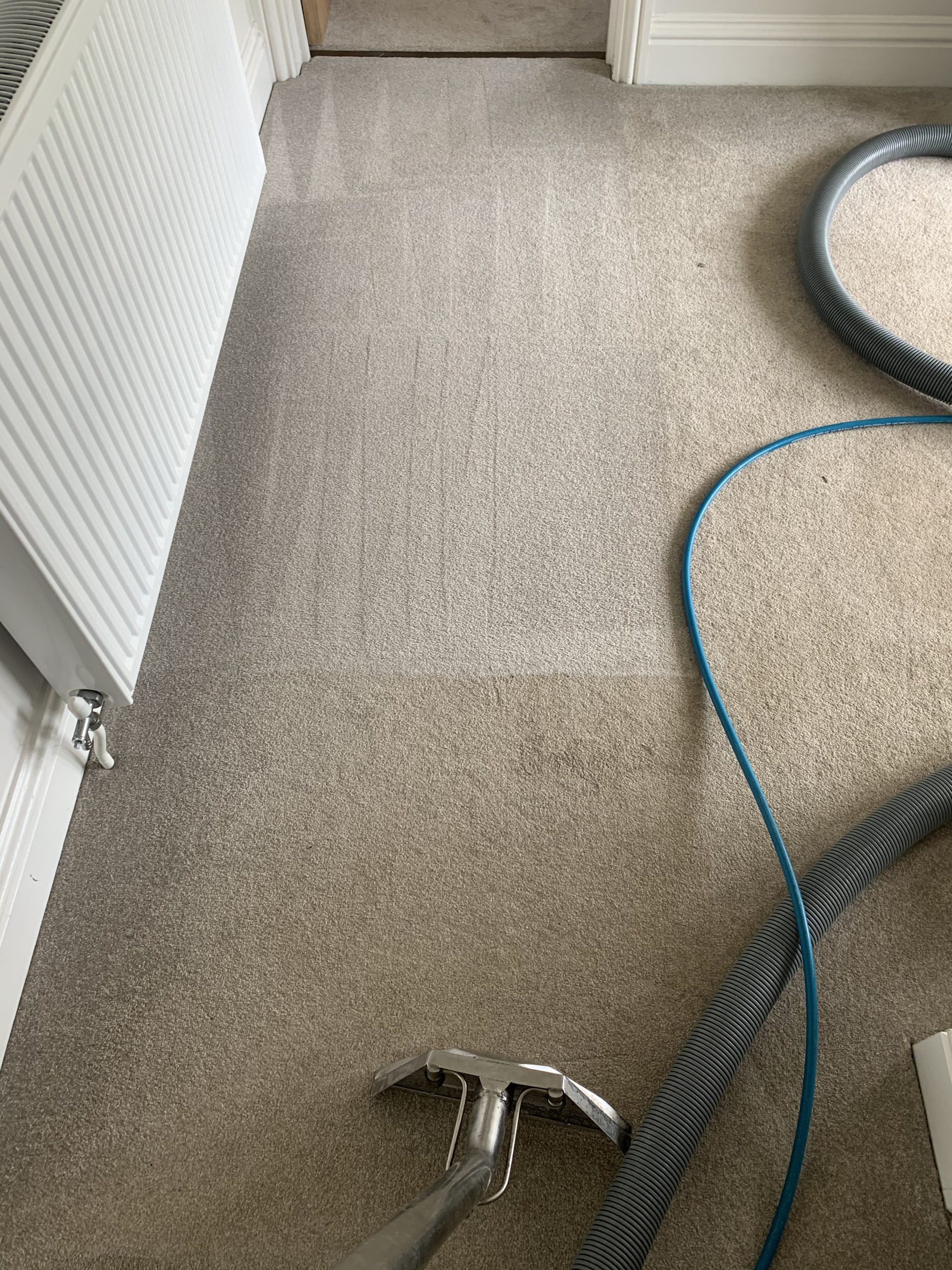Carpet Cleaning North Somerset Cleaning Services from Howlett & Co