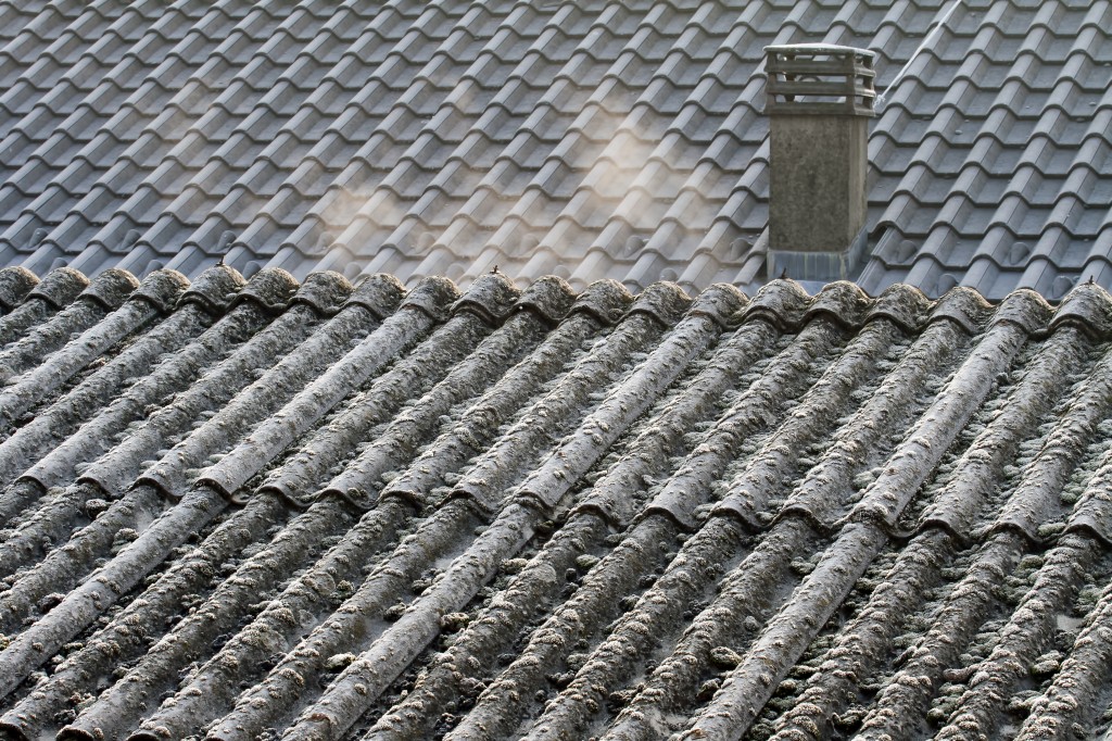 Cost of Asbestos Removal