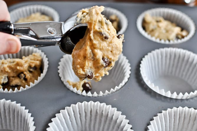Graham Cracker Chocolate Chip Muffins