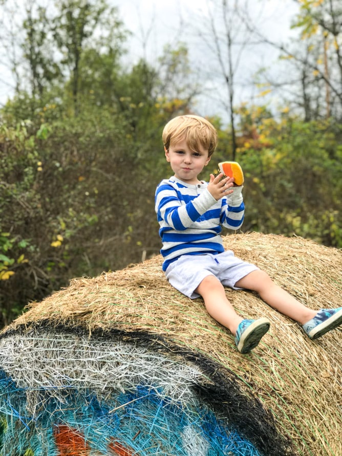 Weekend Snapshots Another Weekend, Another Pumpkin Patch! How Sweet Eats