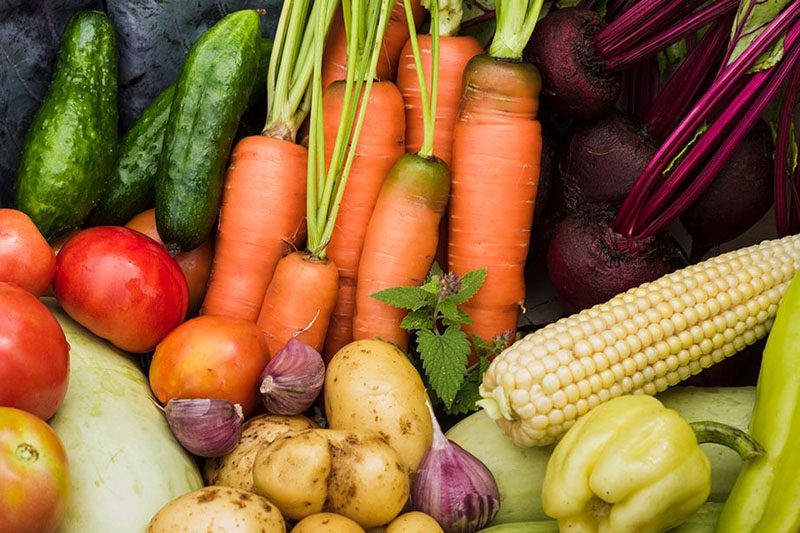 Best Vegetables To Grow In Florida Fall How to Farming