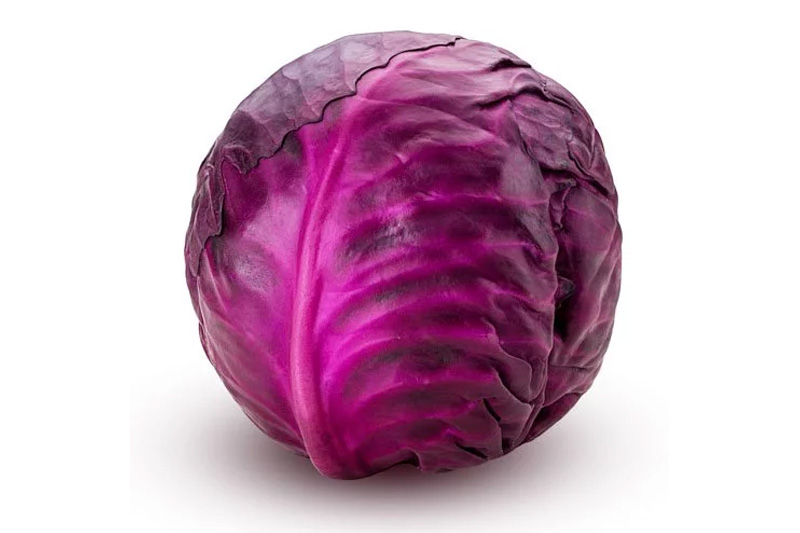 Growing Red Cabbage in Containers How to Farming