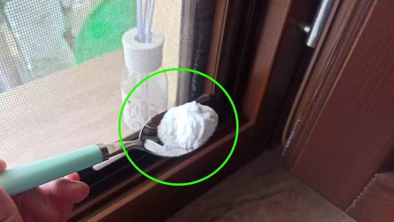 Try putting baking soda on the corners of your windows one problem solved