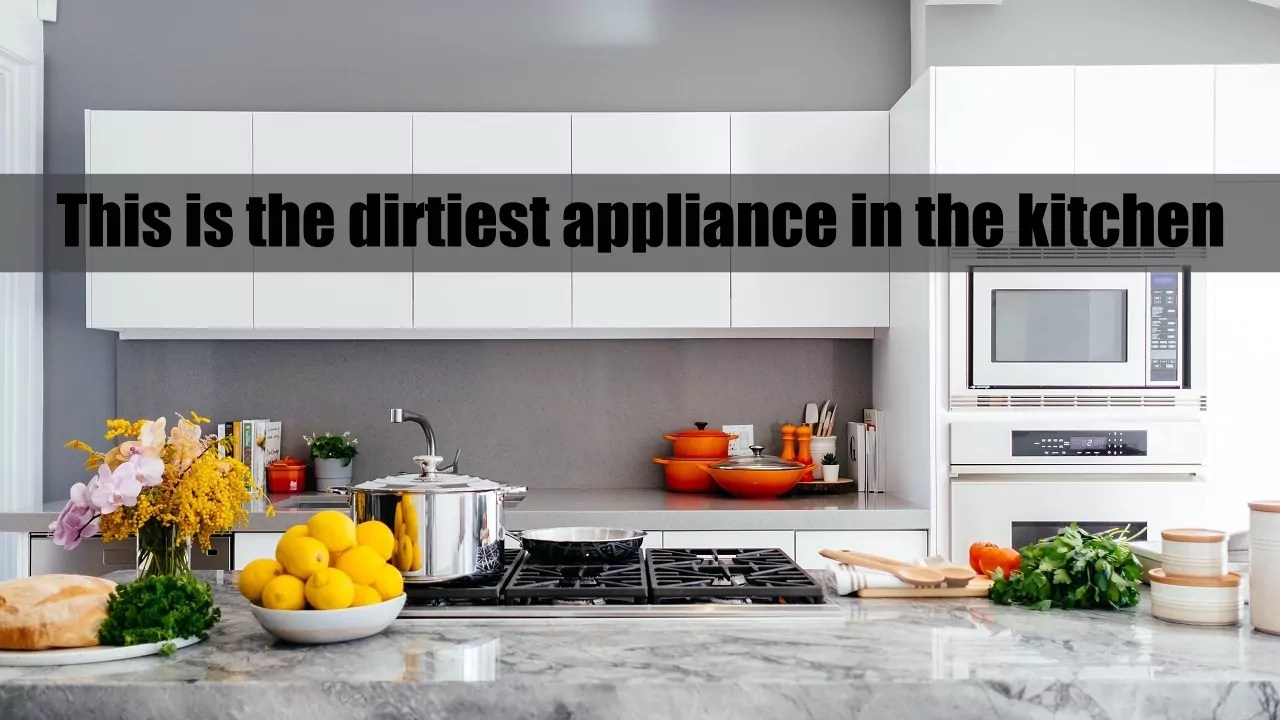 This is the dirtiest appliance in the kitchen you should clean it daily